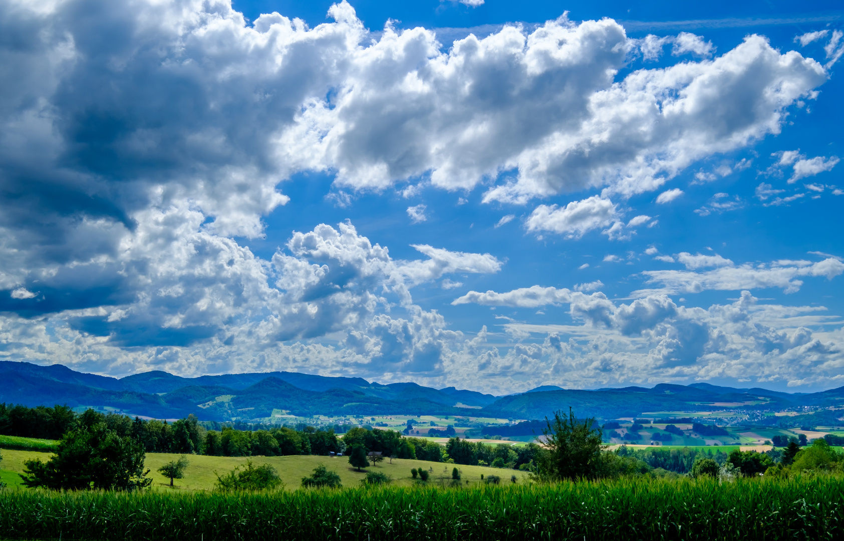 Blick ins Jura