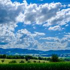 Blick ins Jura