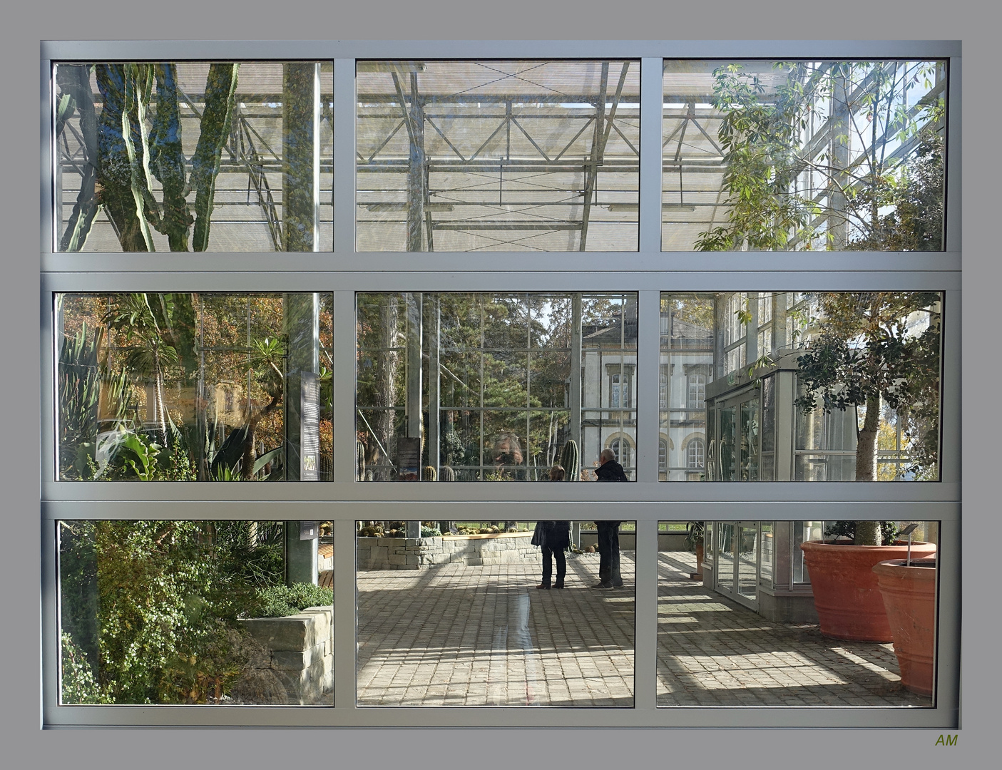 Blick ins Kakteenhaus von Überlingen