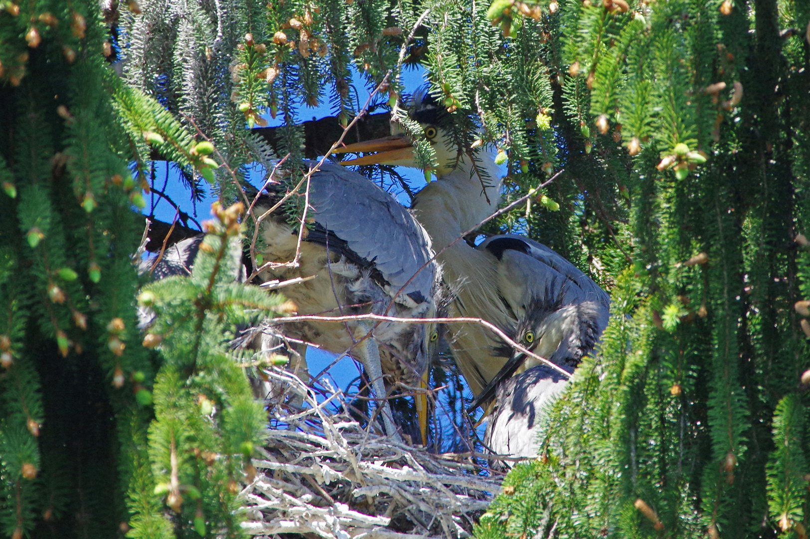 Blick ins Kinderzimmer