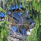 Blick ins Kinderzimmer