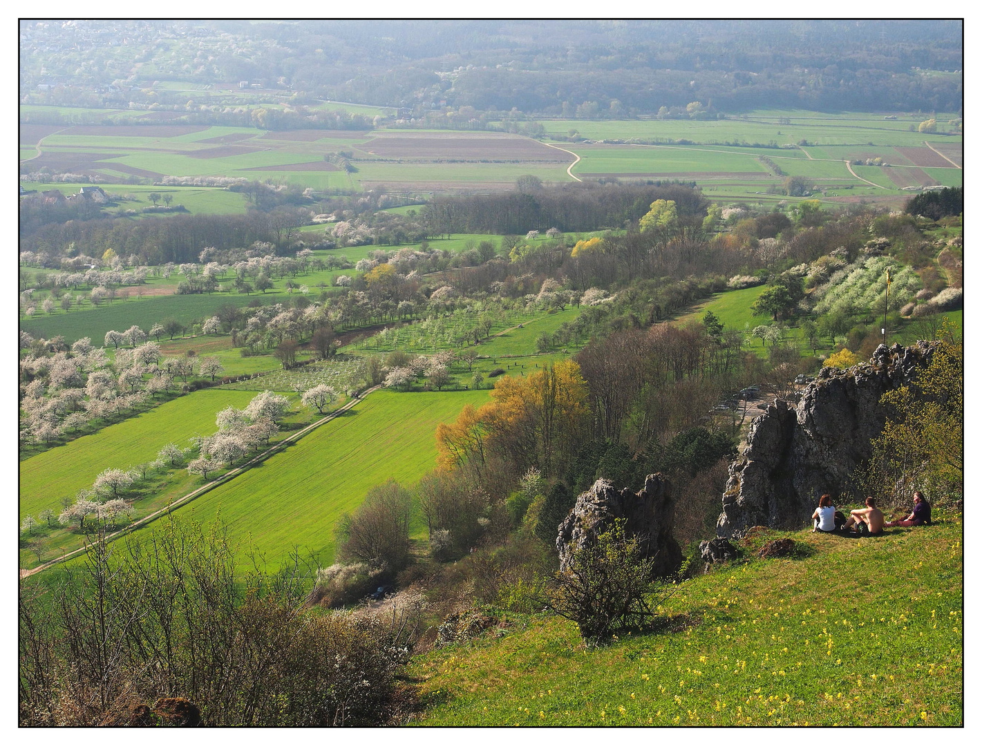 Blick ins Kirschenland