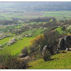 Blick ins Kirschenland