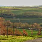 Blick ins Kochertal