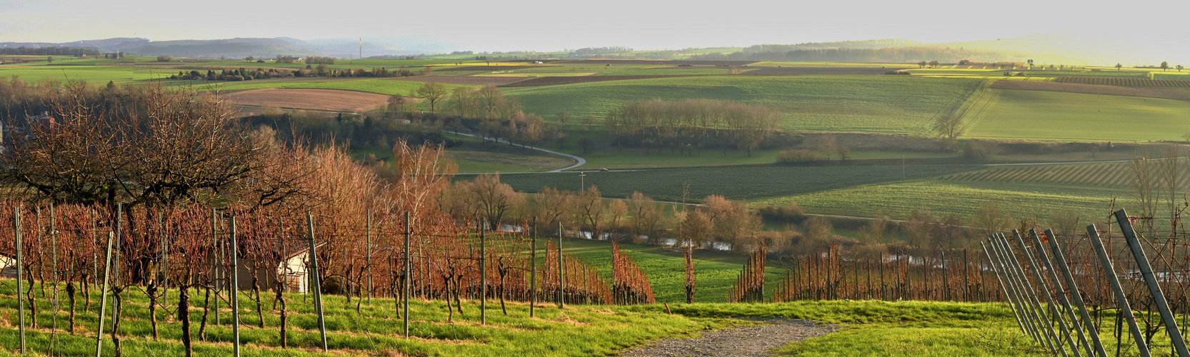 Blick ins Kochertal