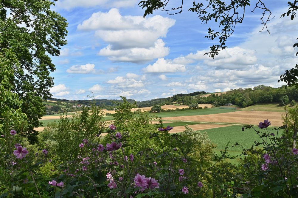 Blick ins Kochertal