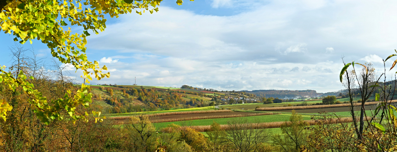 Blick ins Kochertal