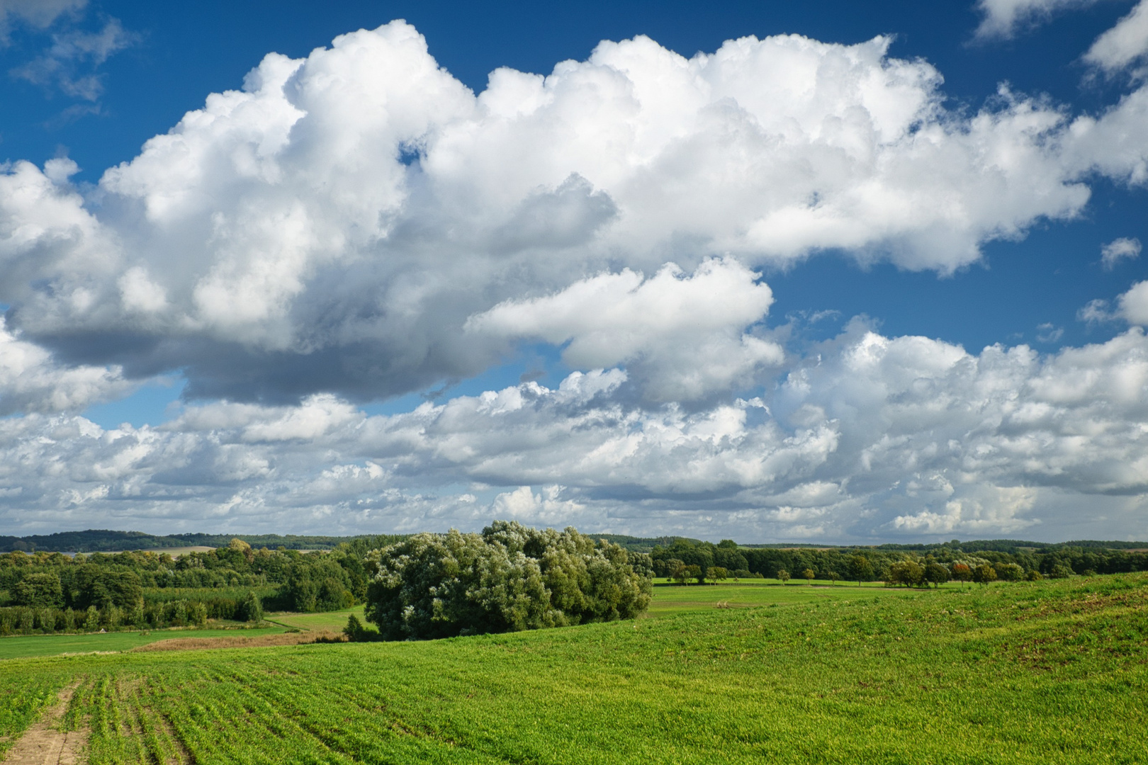 Blick ins Land