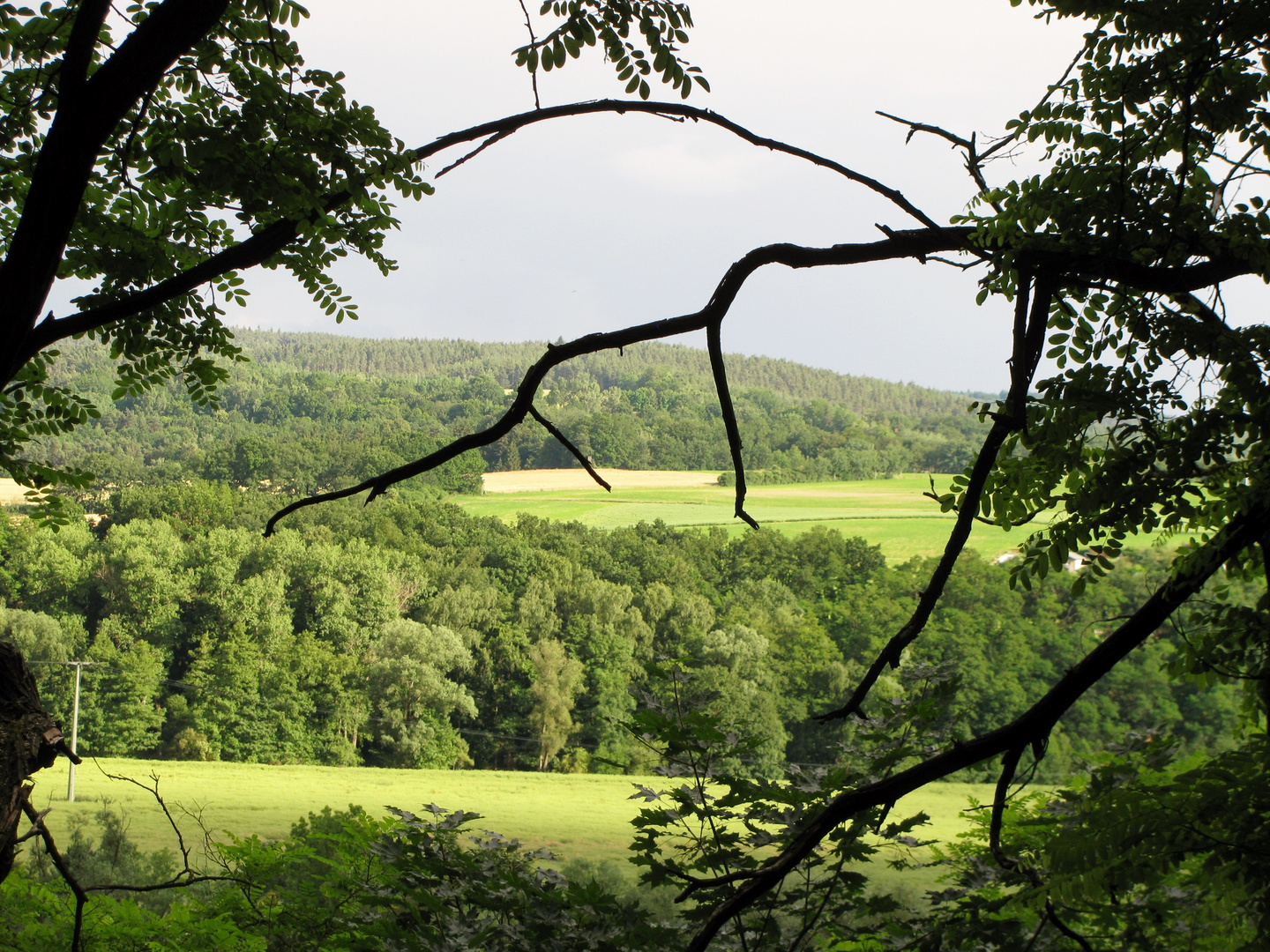 Blick ins Land