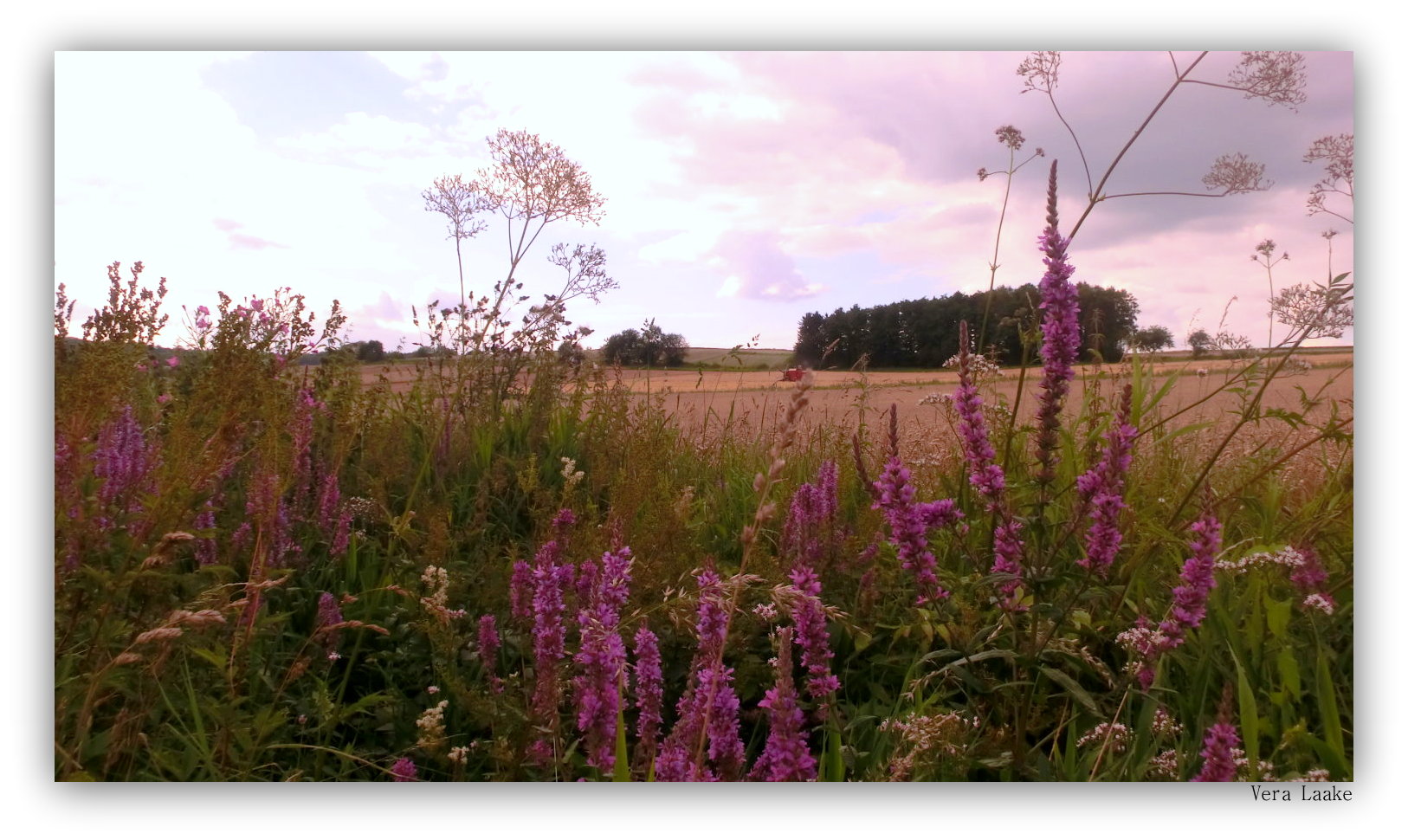 Blick ins Land