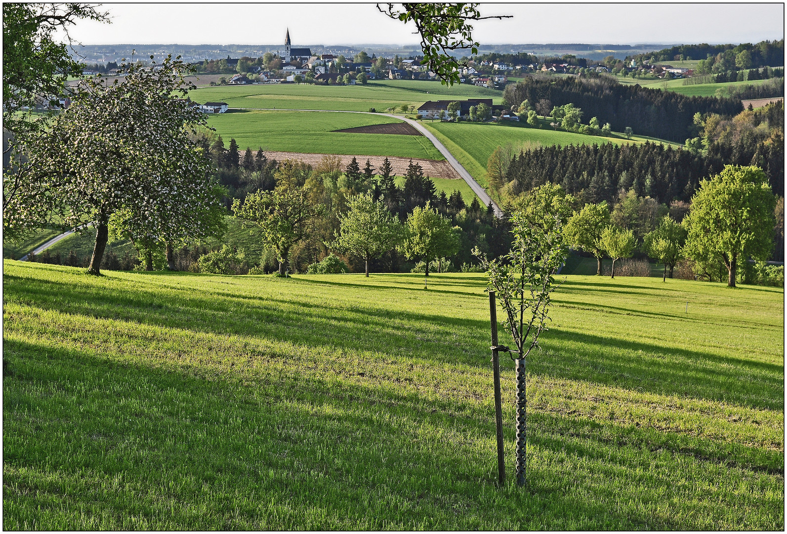 Blick ins Land