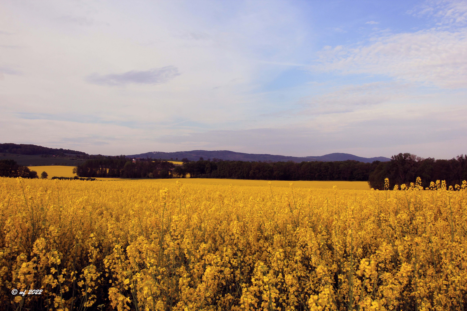 Blick ins Lausitzer Bergland