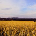 Blick ins Lausitzer Bergland