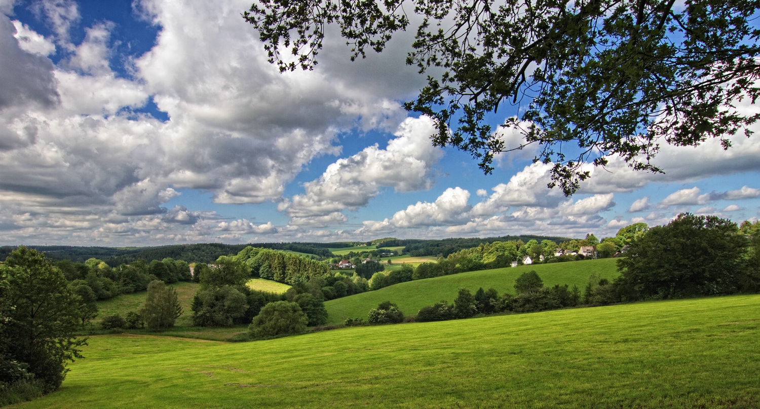 Blick ins M rkische Sauerland  Foto Bild sommer b ume 