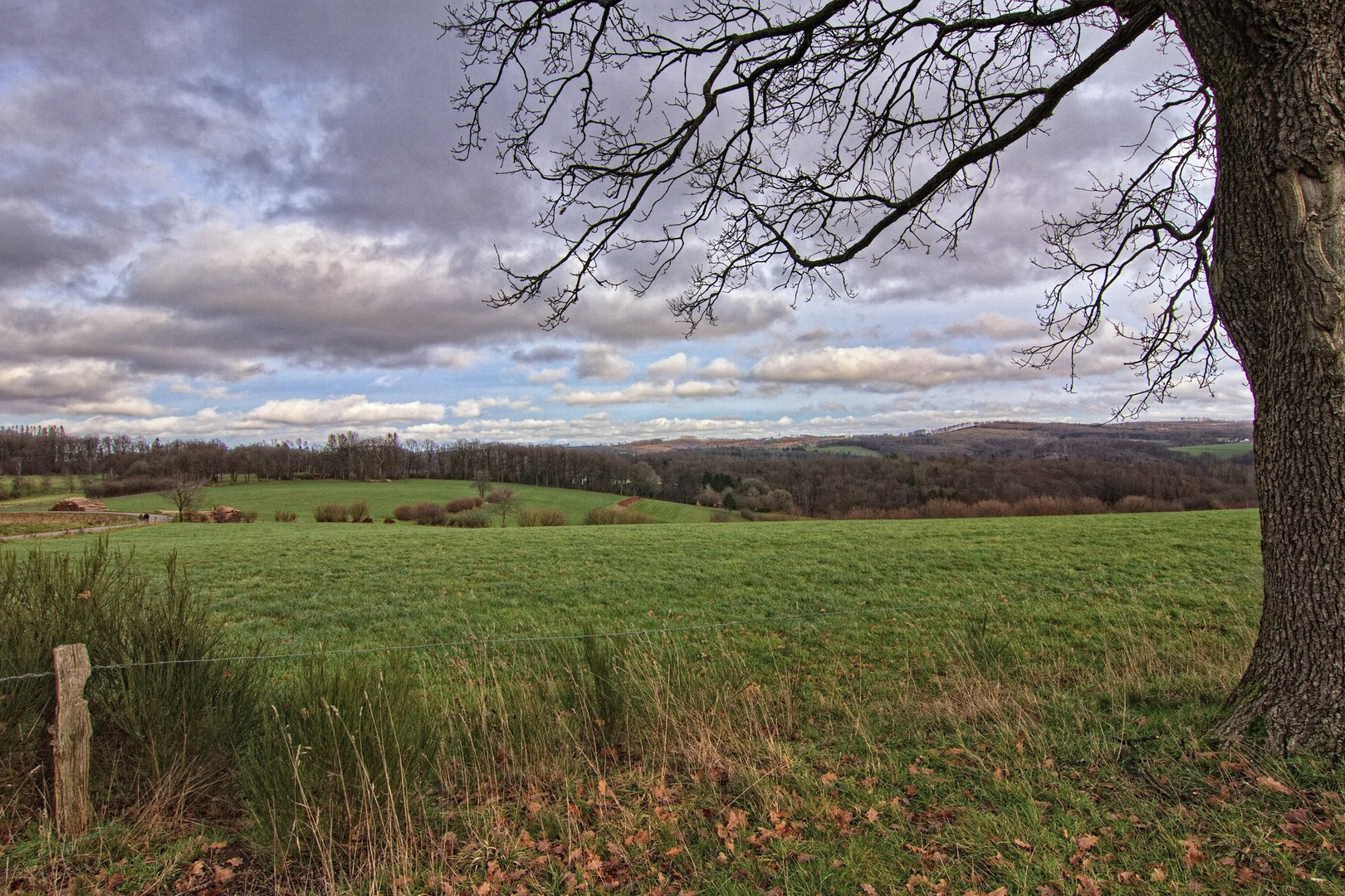 Blick ins Märkische Sauerland II