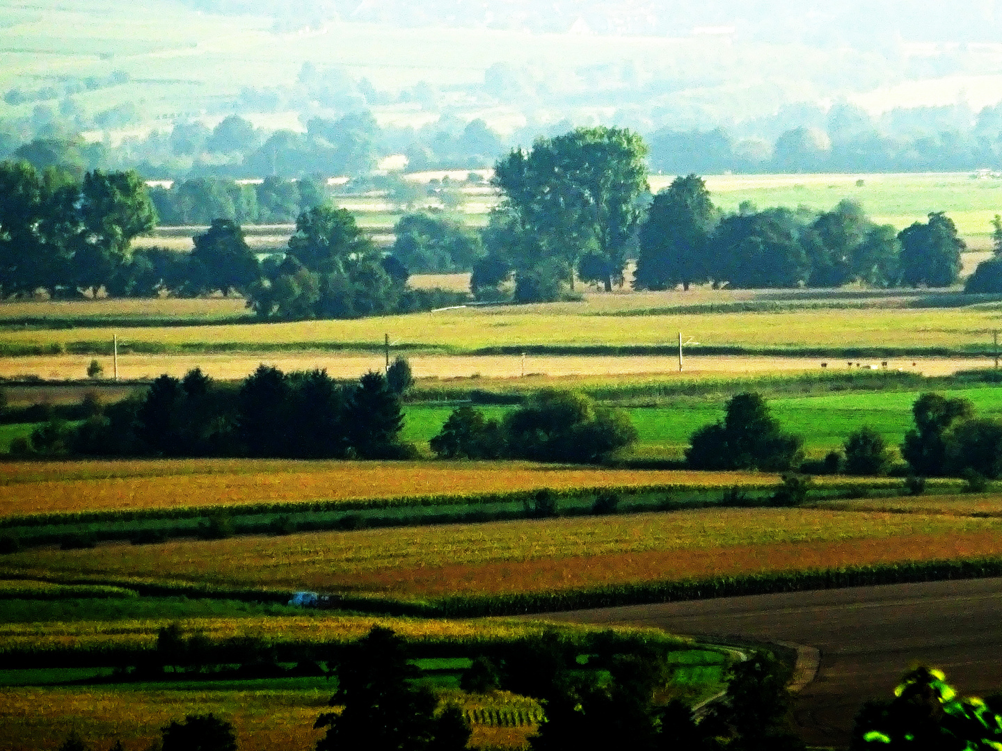 Blick ins Markgräflerland