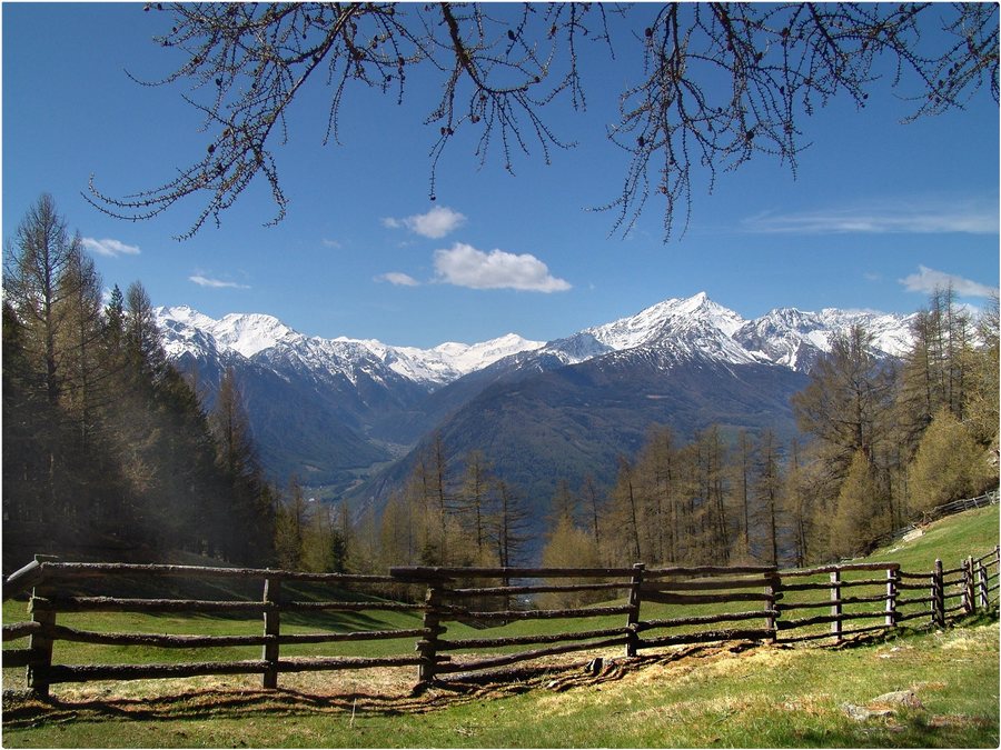 Blick ins Martelltal