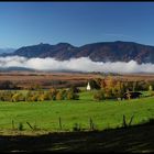 ~ Blick ins Moos im Herbst ~