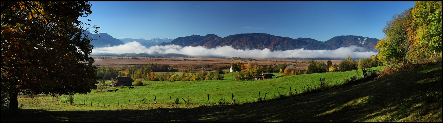 ~ Blick ins Moos im Herbst ~