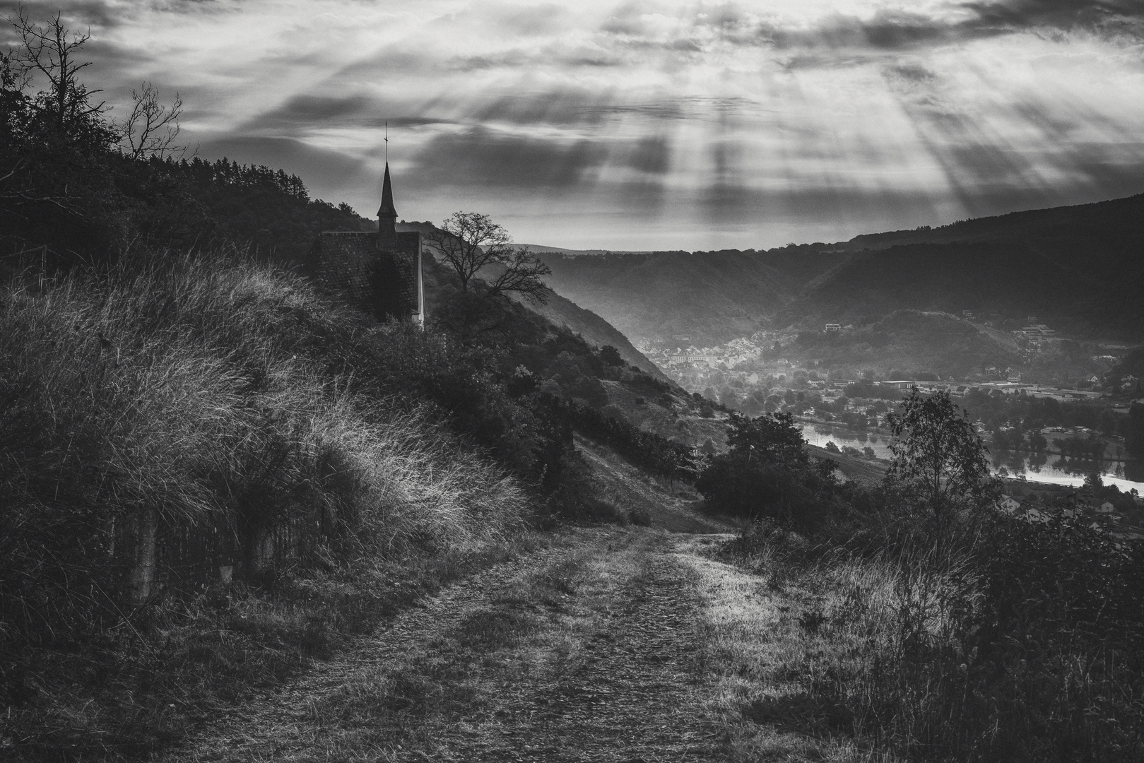 Blick ins Moseltal