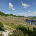 Blick ins Moseltal auf Piesport