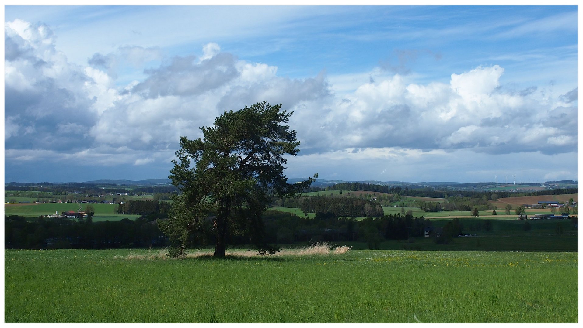 Blick ins Münchberger Land