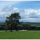 Blick ins Münchberger Land