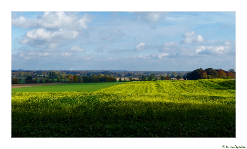 Blick ins Münsterland