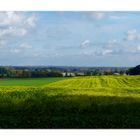 Blick ins Münsterland