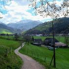 Blick ins Münstertal