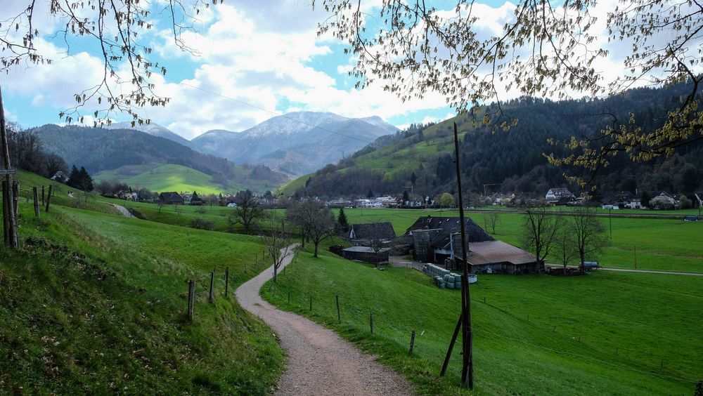 Blick ins Münstertal