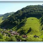 Blick ins Münstertal