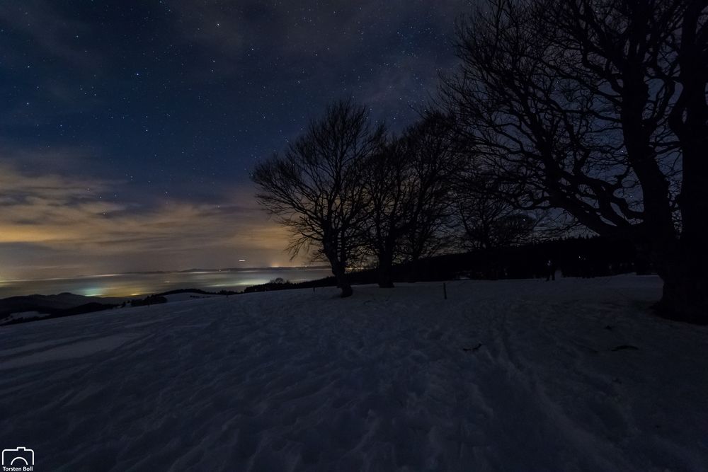 Blick ins Münstertal (Schwarzwald)