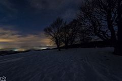 Blick ins Münstertal (Schwarzwald)