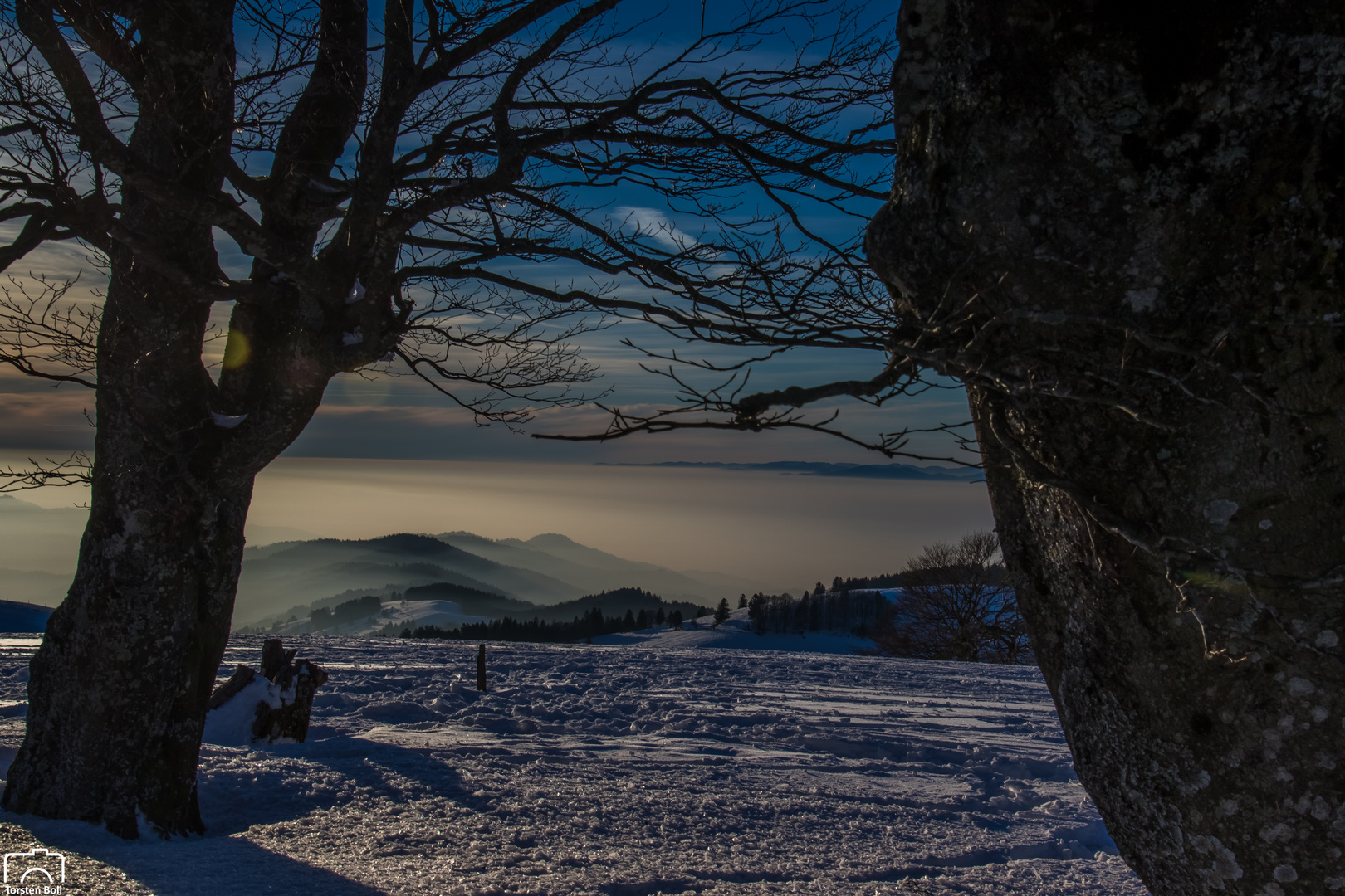 Blick ins Münstertal (Schwarzwald)