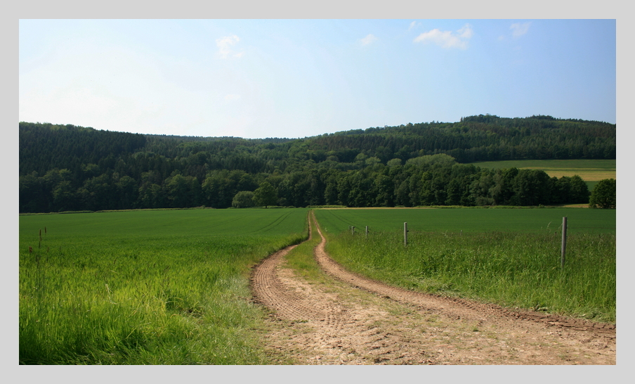 Blick ins Muldental & Rochlitzer Berg