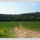 Blick ins Muldental & Rochlitzer Berg