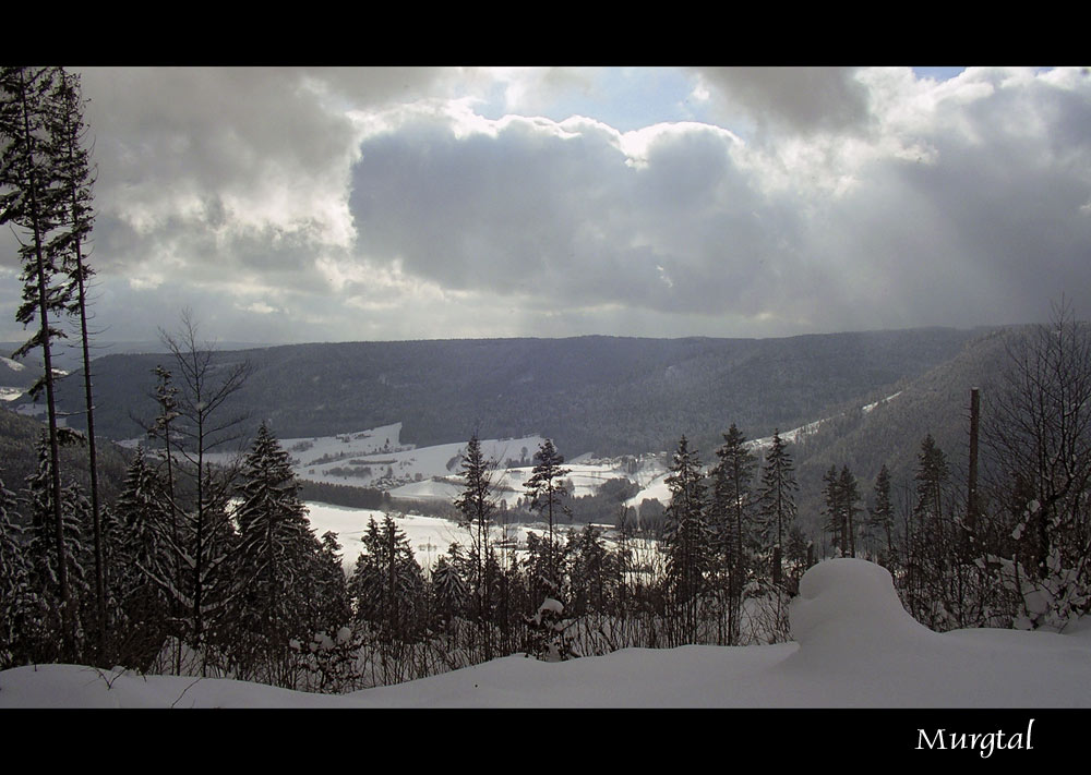 Blick ins Murgtal