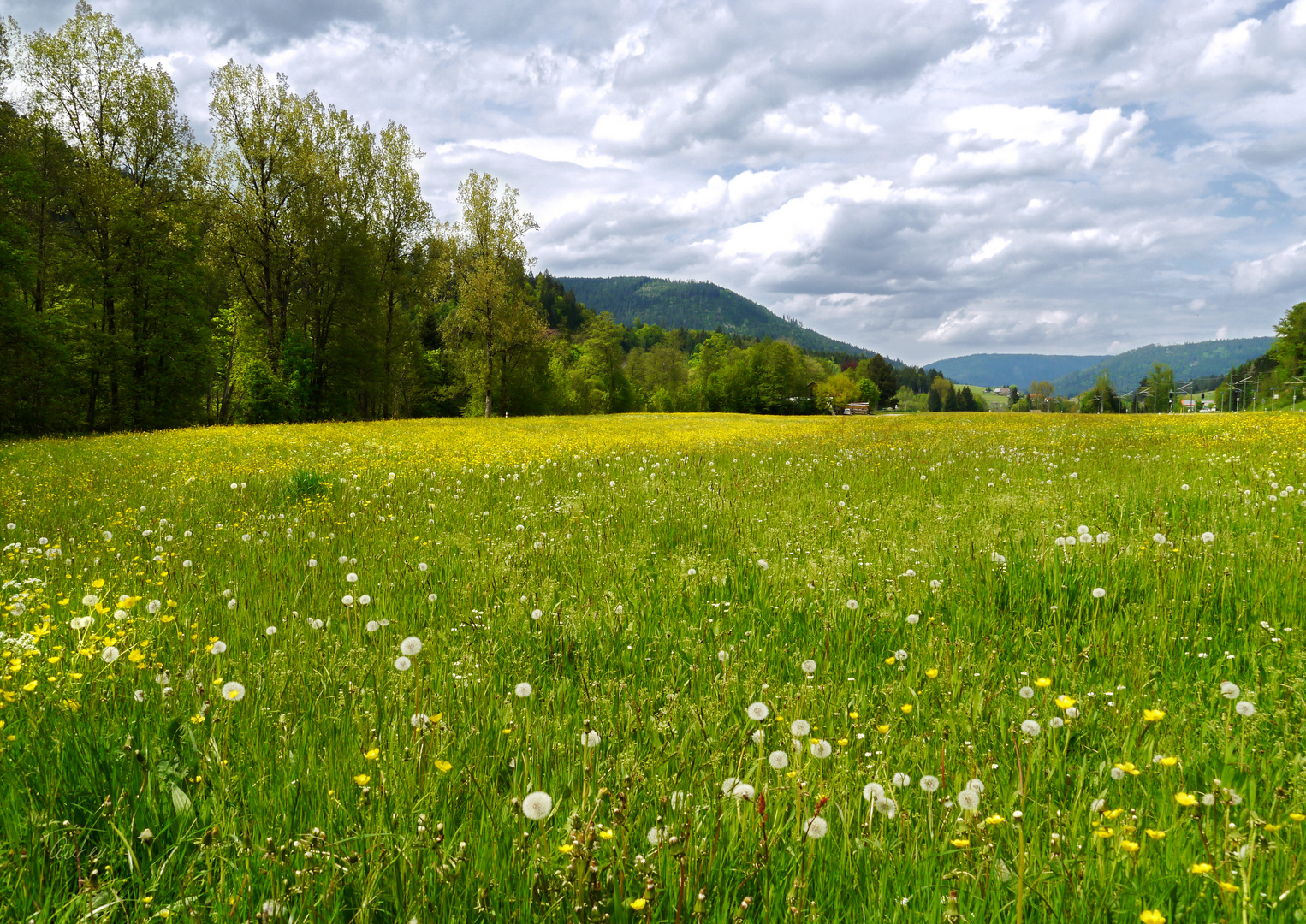 Blick ins Murgtal