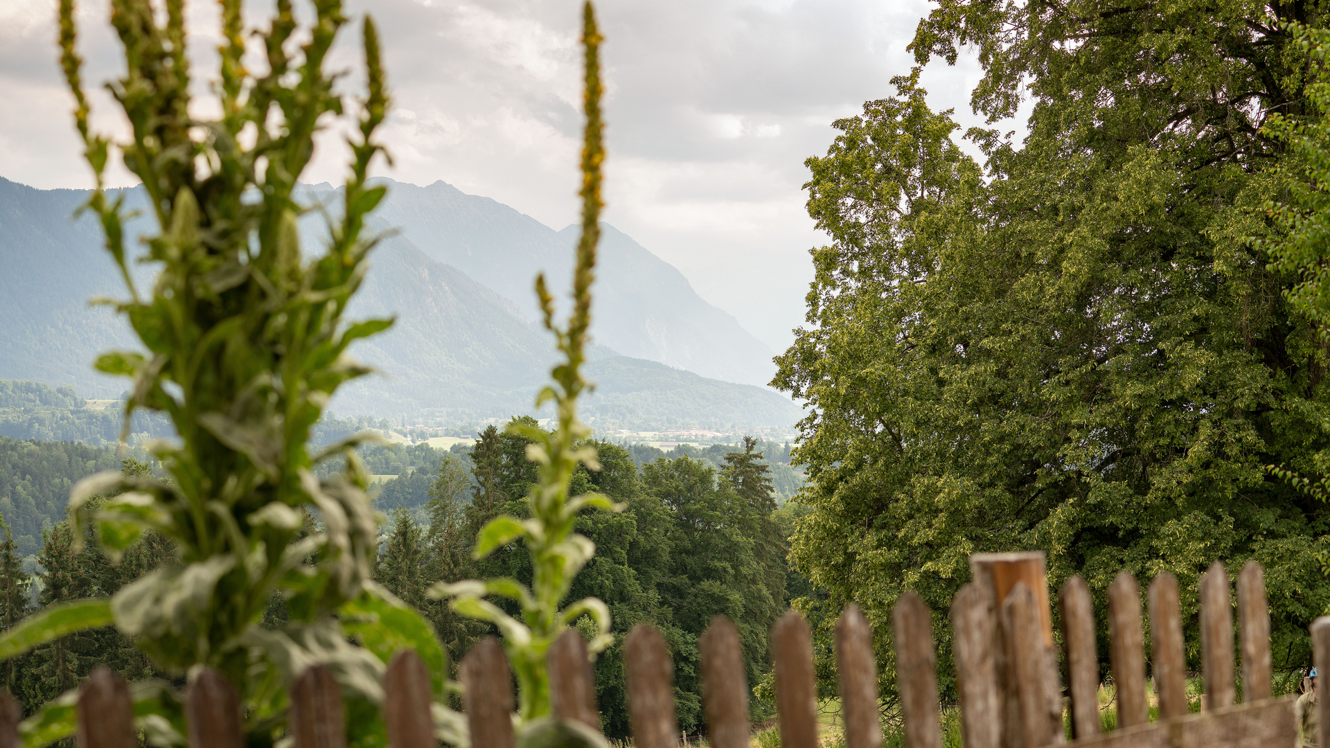 Blick ins Murnauer Voralpenland