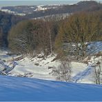 Blick ins Neandertal