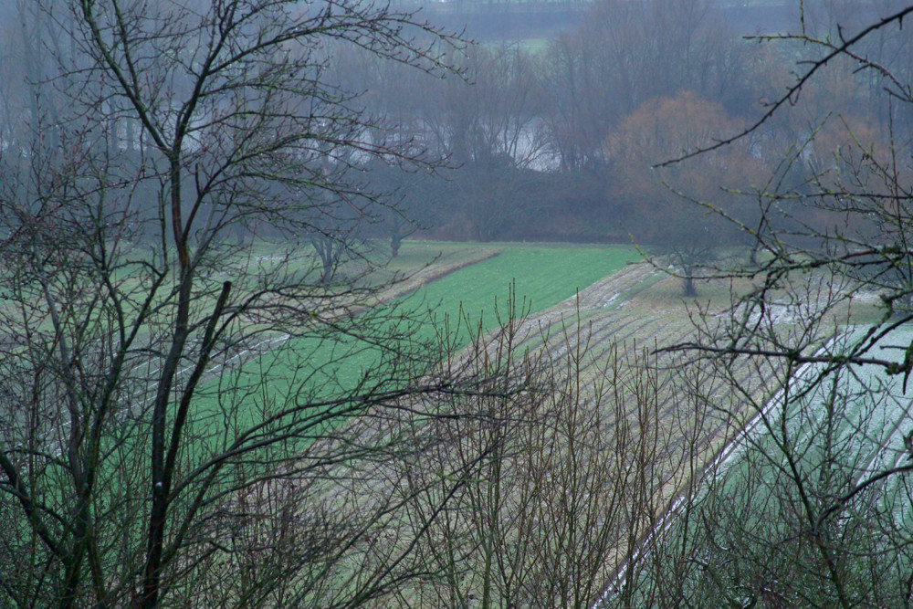 Blick ins Neckartal