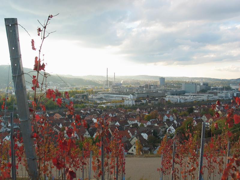 Blick ins Neckartal