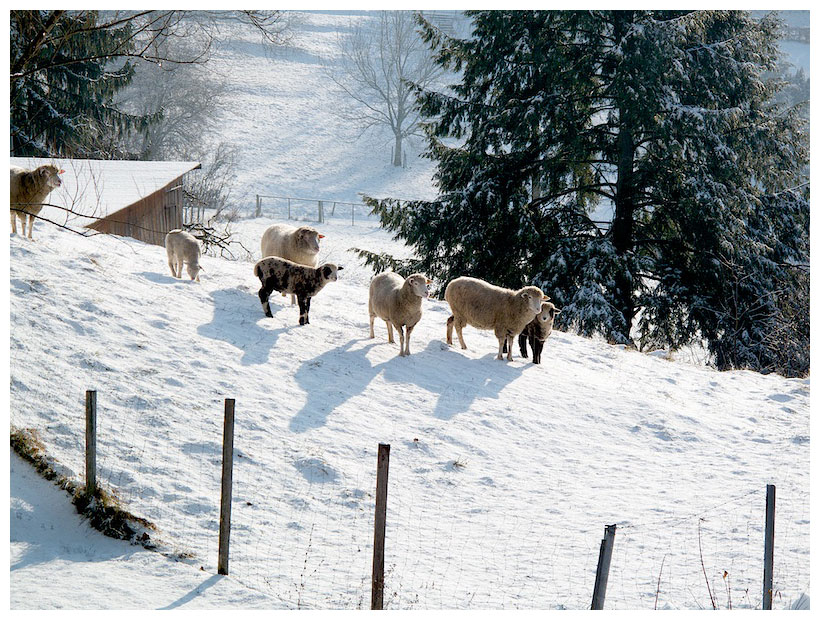 Blick ins neue Jahr