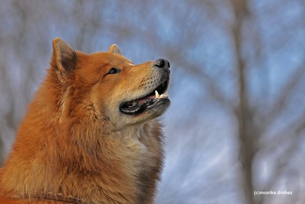 ...Blick in's NEUE JAHR...