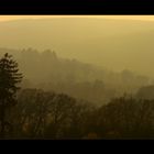 Blick ins November-Nebeltal... - (2. der Serie "November-Nebel")