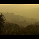 Blick ins November-Nebeltal... - (2. der Serie "November-Nebel")