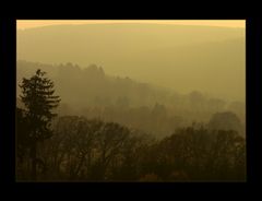 Blick ins November-Nebeltal... - (2. der Serie "November-Nebel")
