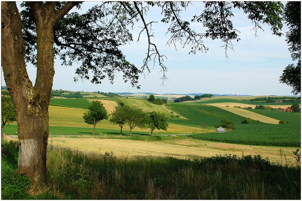 Blick ins "Nurscher Tal"