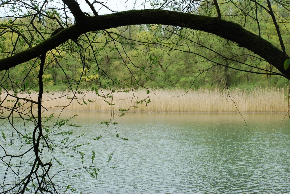 Blick ins Nymphenreich